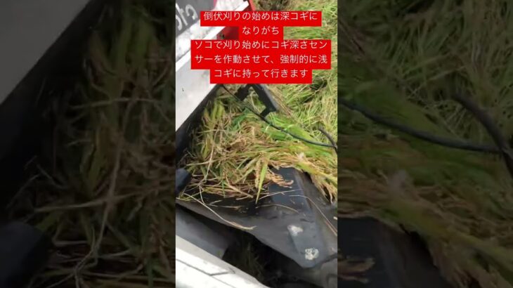 コンバイン 倒伏の刈り始めで詰まる方!試してみて下さい