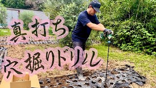 腰痛人☆らっきょう植え付け！マルチでの穴掘りはドリルに限る⁉︎