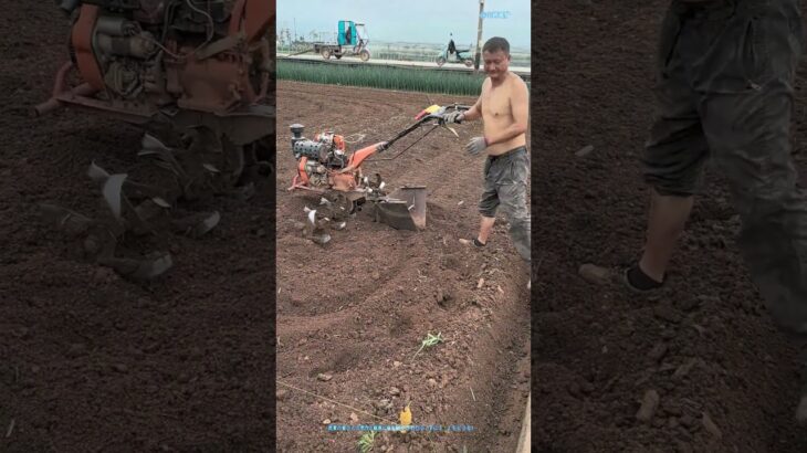 土を耕す:耕運機で耕作の技術を極める