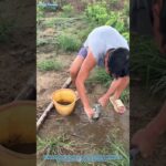 必須の農作業ツール – ポストホールディガー