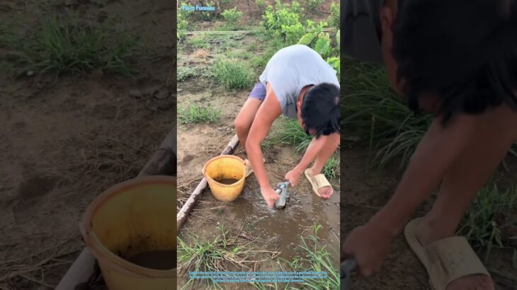 必須の農作業ツール – ポストホールディガー