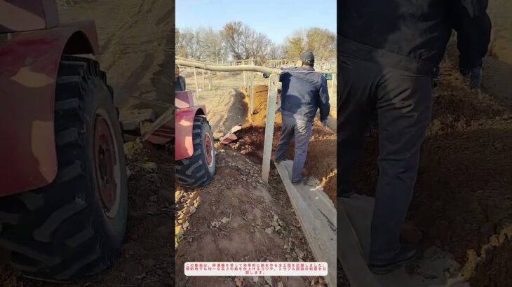 「耕運機で超簡単！プロ並みの畝作りテクニック【DIY農業】」