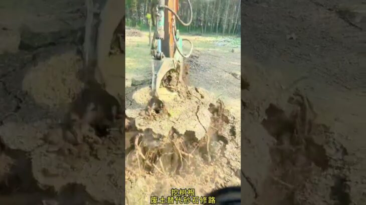 Excavator digs tree roots, excavator, construction machinery, live shots. It’s time to show real