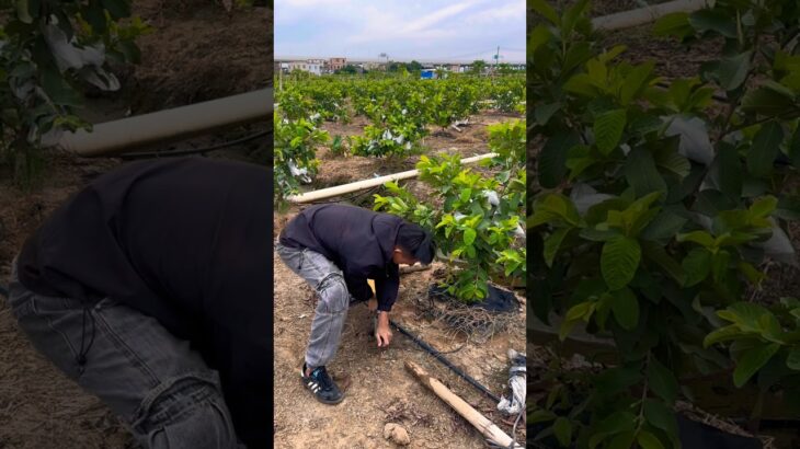 Next-Gen Hole Digger Tool | Plant Faster, Work Smarter!#shortsfeed #shorts #agriculture