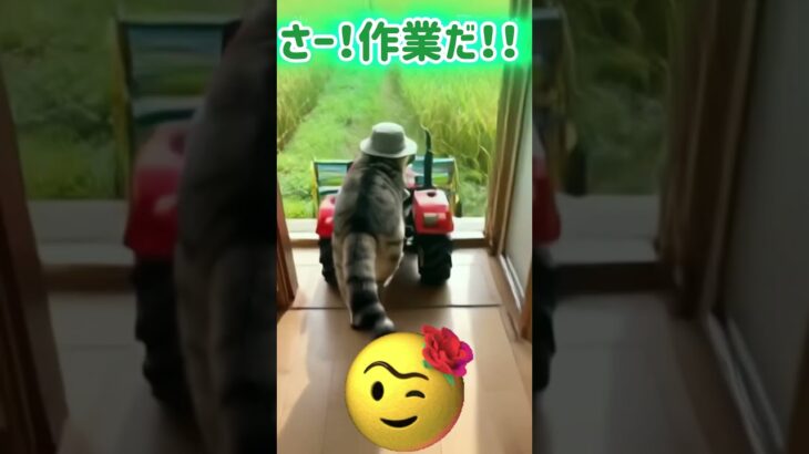 農家の嫁ネコ🧑‍🌾 #ai #cat #保護猫 #耕運機 #作業 #shorts #キジトラ猫