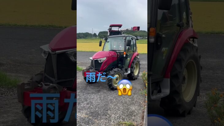 あと一反だったのに雨きたー！ #japan #現代農業 #ヤンマー #yanmar  #コンバイン　#稲刈り