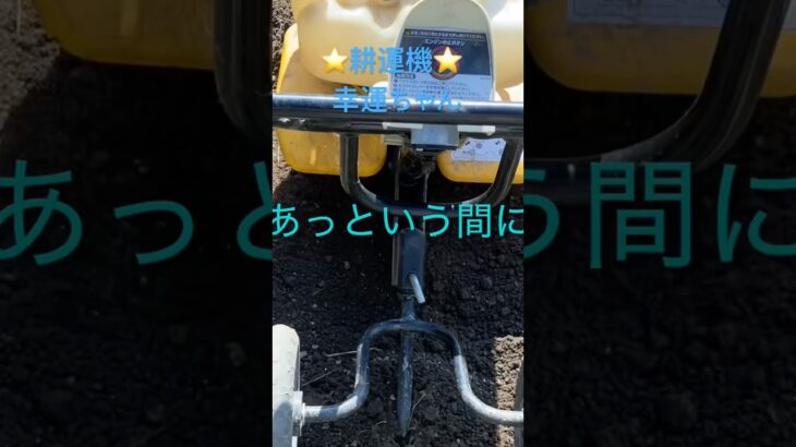 耕運機⭐️ふかふかになりました❣️ #ちひろやまの #いなか
