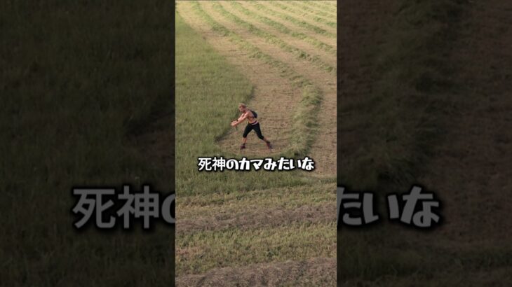 エンジン不要？大鎌が草刈機より速く見える理由🌾