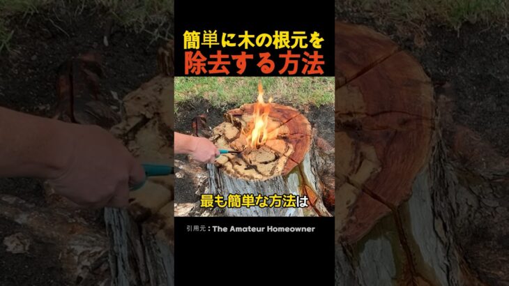 簡単に木の根元を除去する方法