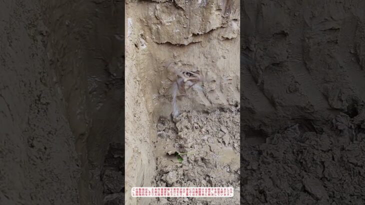 「土坡に穴を開ける驚きの技！合金ドリルで効率化する土木作業」（核心キーワード：効率化）