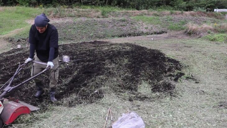 以前竹藪だった土地を耕運機で徐々に畑にして冬野菜を植えてる