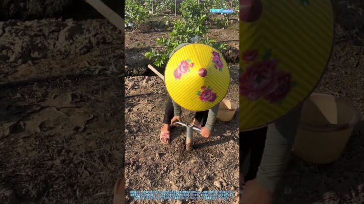 農業用工具の実演：杭穴掘り機の使用方法